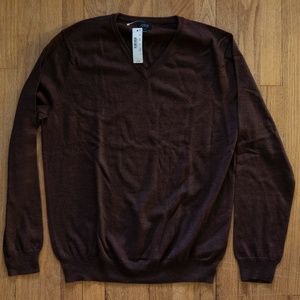 J Crew Merino Wool V-Neck Sweater Brown L NWT